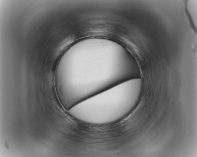 X0000095951411200801110906