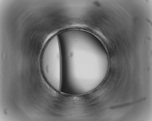 X0000095951412200801110906