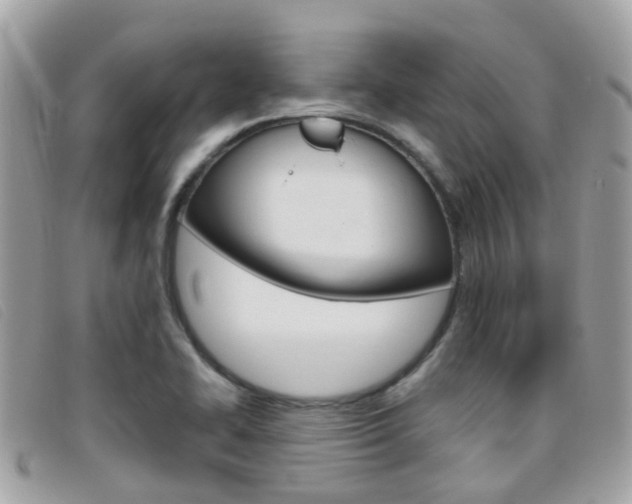 X0000095951414200801110906