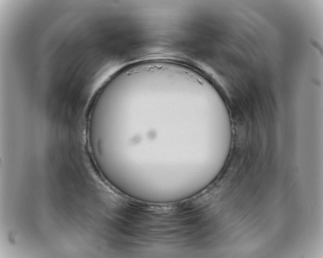 X0000095951415200801110906