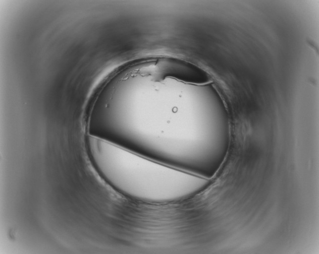 X0000095951416200801110906