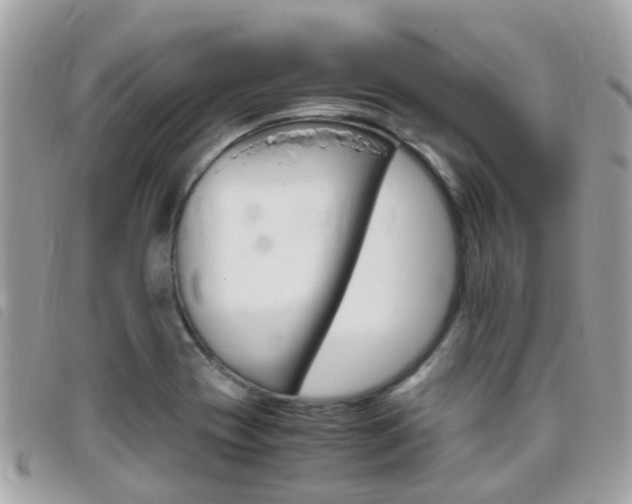X0000095951417200801110906