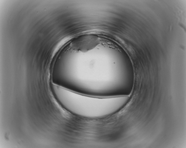 X0000095951418200801110906