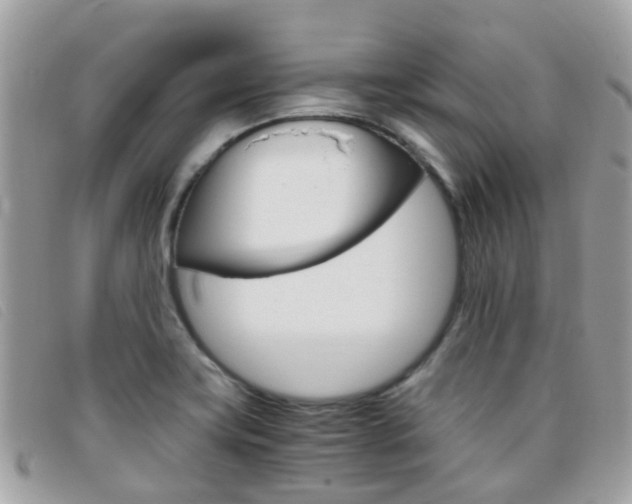 X0000095951419200801110906