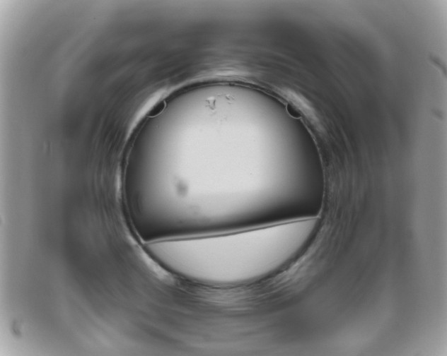 X0000095951420200801110906