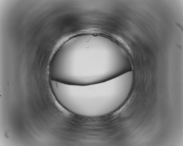 X0000095951421200801110906