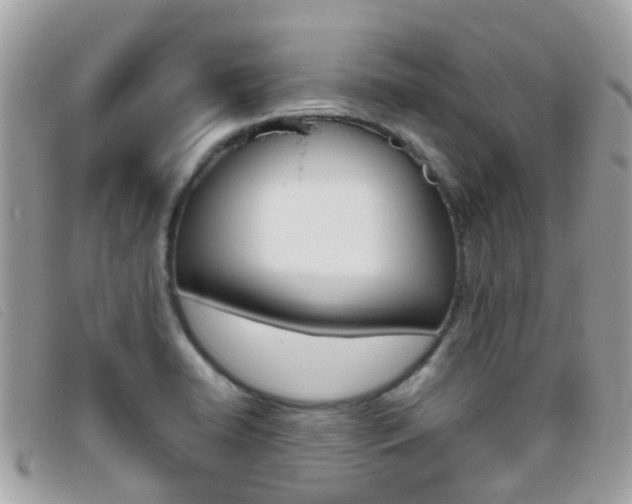 X0000095951422200801110906