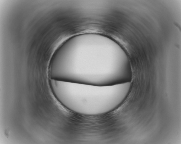 X0000095951423200801110906