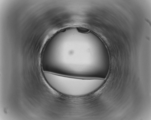 X0000095951424200801110906