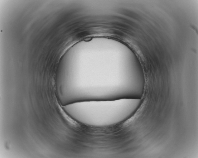 X0000095951425200801110906