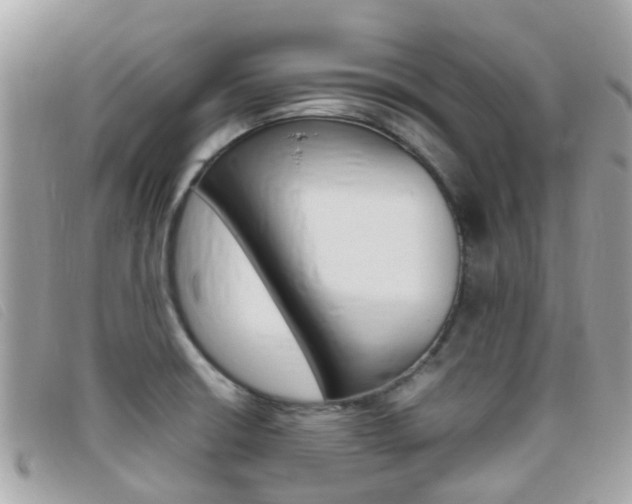 X0000095951426200801110906