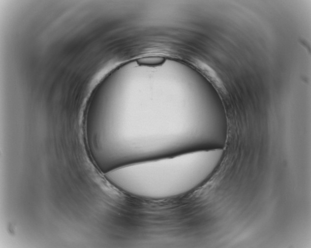 X0000095951427200801110906