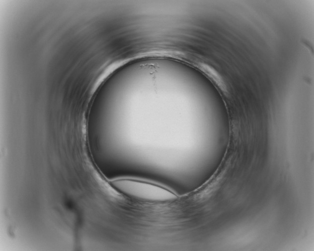 X0000095951428200801110906