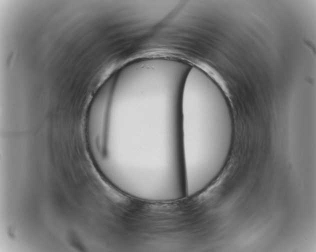 X0000095951429200801110906