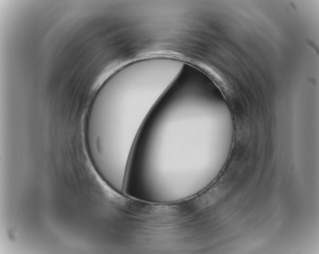 X0000095951430200801110906