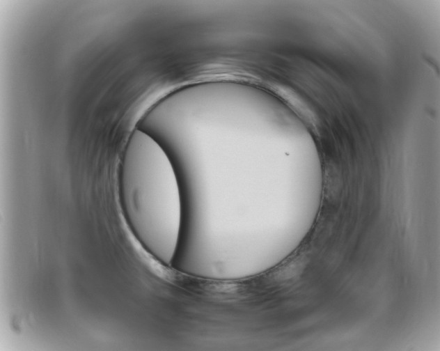 X0000095951431200801110906