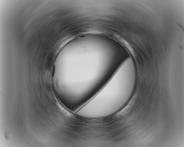 X0000095951433200801110906