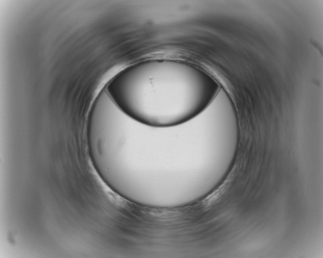 X0000095951434200801110906