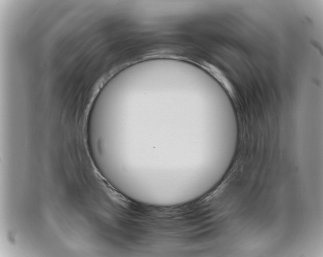 X0000095951435200801110906