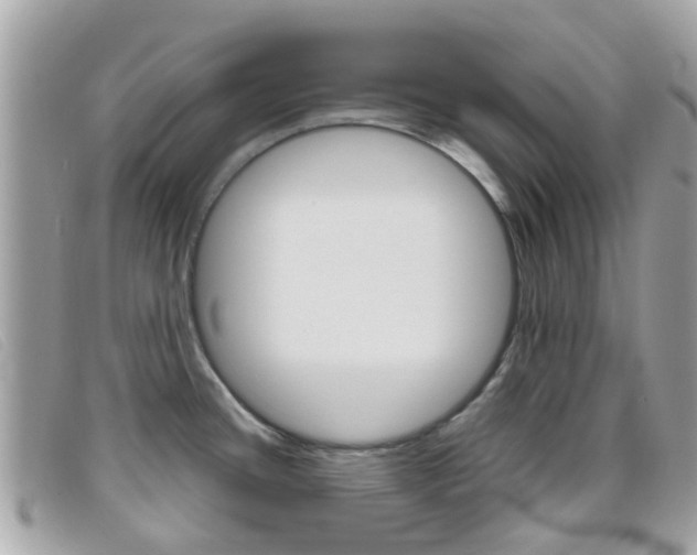 X0000095951436200801110906