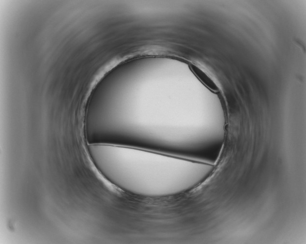 X0000095951437200801110906