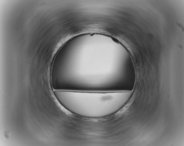 X0000095951438200801110906