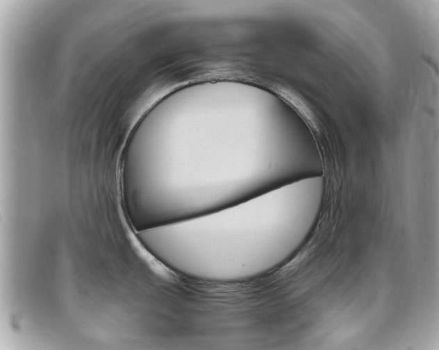 X0000095951439200801110906
