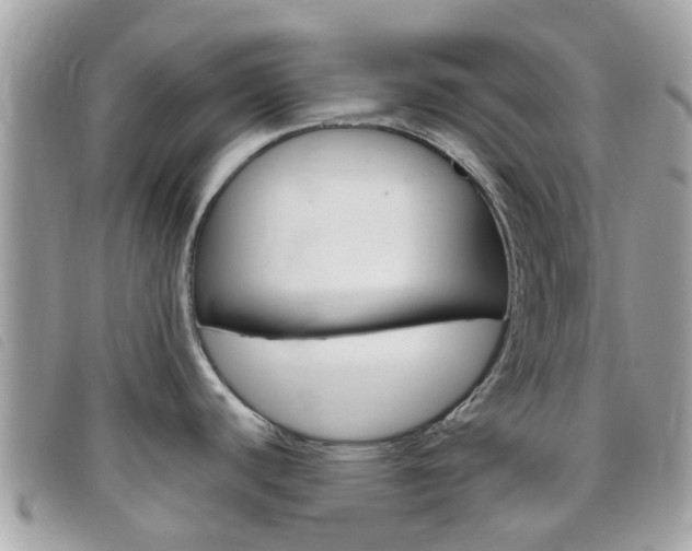 X0000095951440200801110906