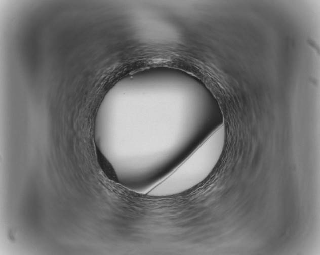X0000095951441200801110906