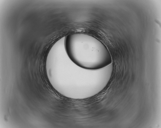 X0000095951442200801110906