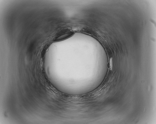 X0000095951443200801110906