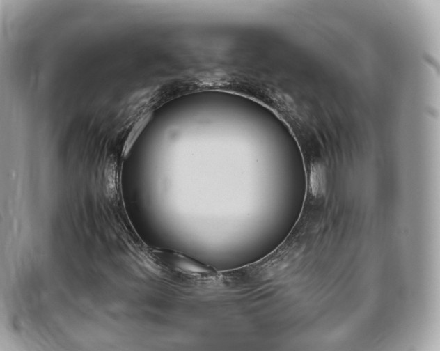 X0000095951444200801110906