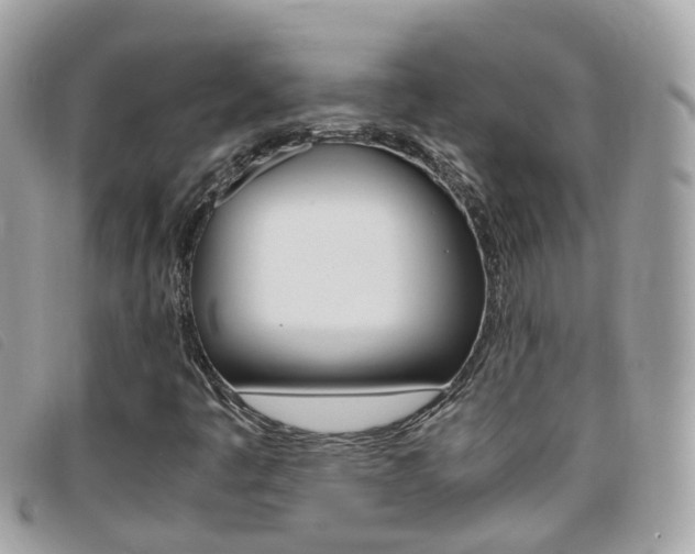X0000095951445200801110906
