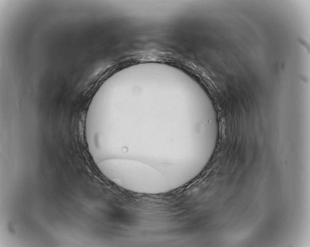 X0000095951446200801110906