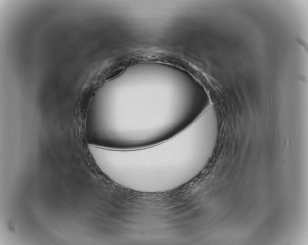X0000095951447200801110906