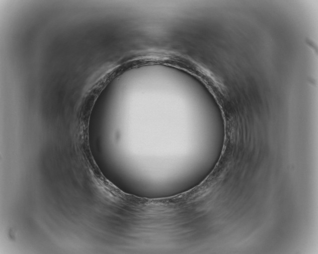 X0000095951448200801110906
