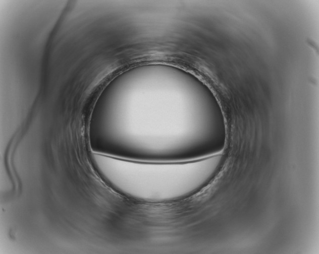 X0000095951450200801110905
