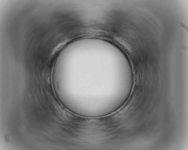 X0000095951451200801110905