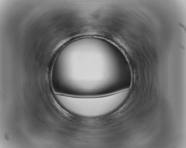 X0000095951452200801110905