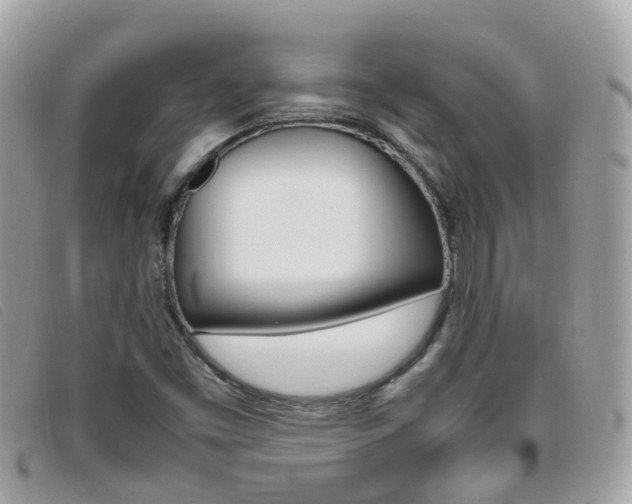 X0000095951453200801110905