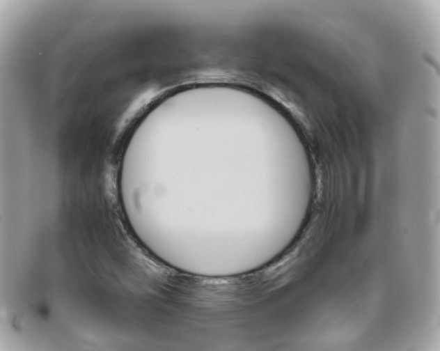 X0000095951454200801110905