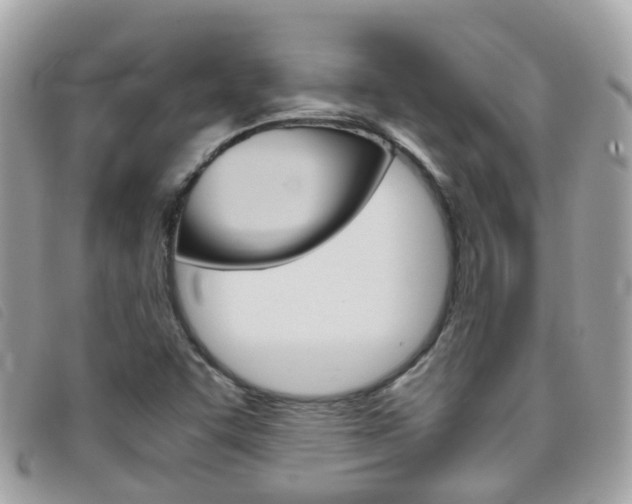 X0000095951455200801110905