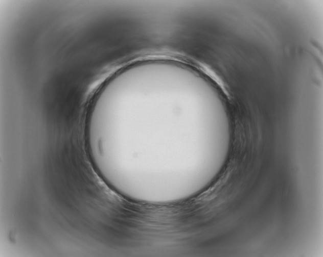 X0000095951456200801110905