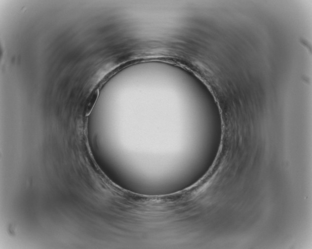 X0000095951457200801110905