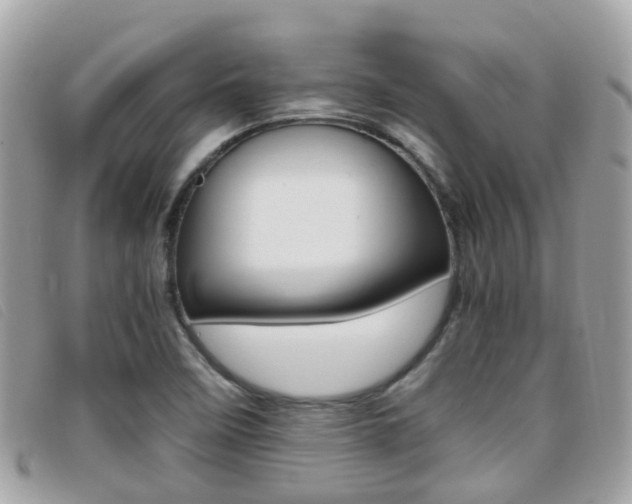 X0000095951458200801110905