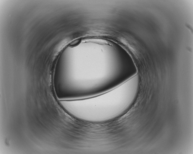 X0000095951459200801110905