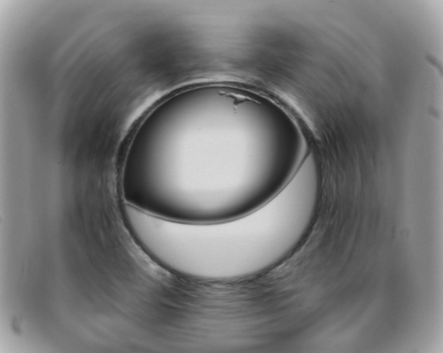 X0000095951460200801110905