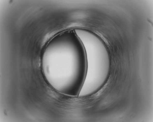 X0000095951461200801110905