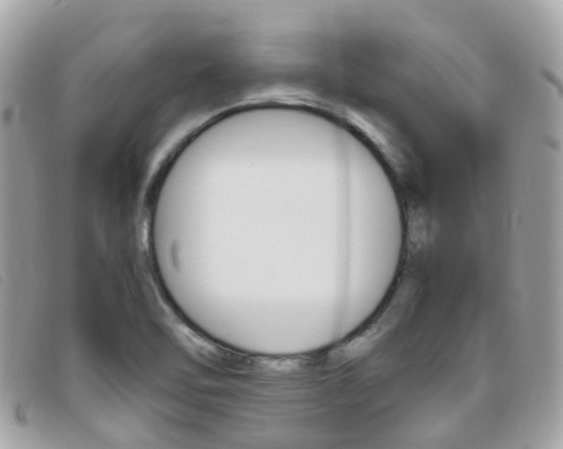 X0000095951462200801110905