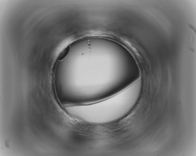 X0000095951463200801110905